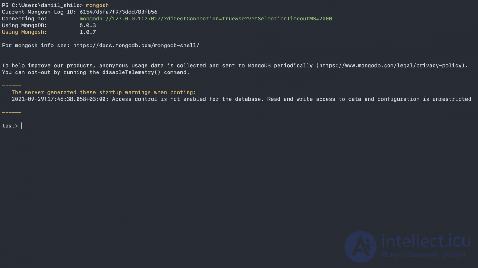 MongoDB basics- collections and documents, working in the shell, basic operations