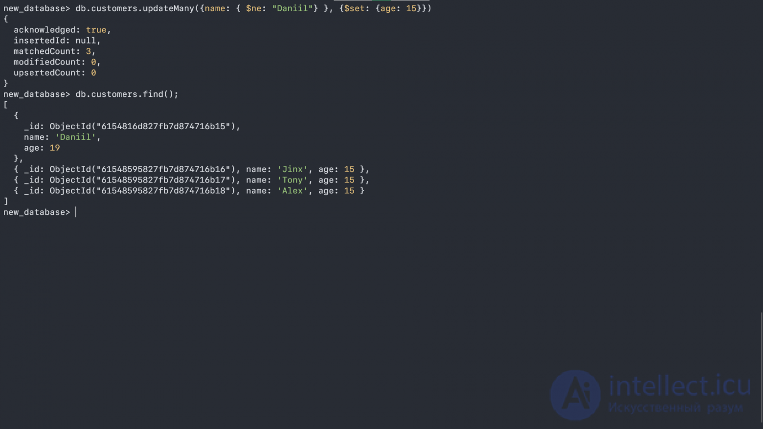 MongoDB basics- collections and documents, working in the shell, basic operations