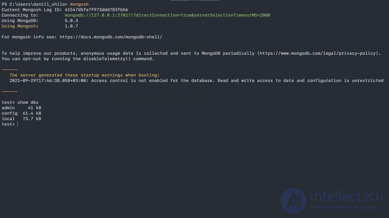 MongoDB basics- collections and documents, working in the shell, basic operations