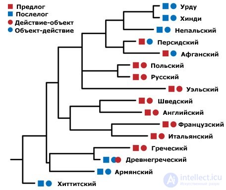 Syntactic and Morphological Typology in Linguistics
